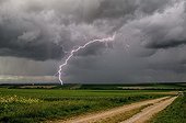 Storm of cold air over the countryside in spring - France  ; Negative lightning well branched day. 
