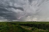 Supercell storm over the countryside - France ; Many inter-cloudy flashes crawl under the anvil. A wall cloud develops in the mesocyclone.