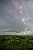 Supercell storm over the countryside - France ; Tree struck by lightning