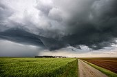 Supercell storm over the countryside - France ; A mature cloud forms.