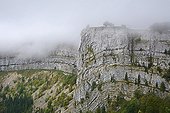 Fog on the cliffs - Cirque du Creux du Van Switzerland 