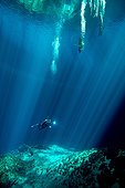 Diver in the Cenote Noh Moson - Yucatan Mexico 