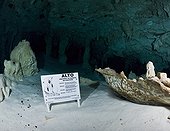 Boundary of safe cavern diving area in Gran Cenote - Mexico ; Sign marks warns scuba divers not to proceed beyond. Cave diving poses serious risks and requires special training, techniques and equipment.