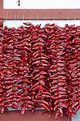 Espelette peppers drying on front - Basque Country France 