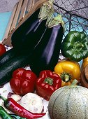 Harvest of vegetables in a kitchen garden