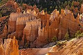 Geological landscape - Bryce Canyon NP Utah USA ; Amphitheatre<br>Deltaic sediments of Jurassic age (Claron Formation) of sandstone, dolomite and marl colored by iron oxides and carved by erosion in an amphitheater of hoodoos (pinnacles) arches and bridgesThe reflected light (spectral) from sunrise sun enriched natural polychrome these high walls sometimes nearly 50 meters