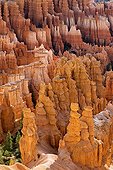 Geological landscape - Bryce Canyon NP Utah USA ; Amphiteatre<br>Deltaic sediments of Jurassic age (Claron Formation) of sandstone, dolomite and marl colored by iron oxides and carved by erosion in an amphitheater of hoodoos (pinnacles) arches and bridgesThe reflected light (spectral) from sunrise sun enriched natural polychrome these high walls sometimes nearly 50 meters
