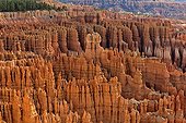 Paysage géologique - Bryce Canyon NP Utah USA ; Amphithéâtre <br>Sédiments deltaïques d'âge Jurassique (Formation de Claron) formés de calcaires, dolomies et marnes colorés par des oxydes de fer et creusé par l'érosion en un amphithéâtre de hoodoos (pinnacles) arches et ponts<br>La lumière réfléchie (spectrale) du lever du soleil enrichi la polychromie naturelle de ces parois haute parfois de près de 50 mètres