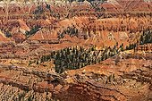 Paysage géologique - Cedar Breaks NM Utah USA ; Amphithéâtre <br>Sédiments deltaïques d'âge Jurassique (Formation de Claron) formés de calcaires, dolomies et marnes colorés par des oxydes de fer et creusé par l'érosion en un immense amphithéatre de hoodoos (pinnacles) richement colorés par des oxydes de fer et de manganèse