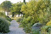 Gravel path in a mediterranean garden