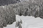Cross Country Skiing - Aravis Alps France 