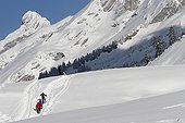 Snowshoeing - Aravis Alps France