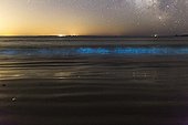 Voie lactée et plancton phosporescent - Ile d'Houat France ; Du plancton bioluminescent s'illumine dans le rouleau d'une vague qui se brise sur le sable d'une plage de l'Île d'Houat. A l'horizon, l'Île d'Hoëdic.