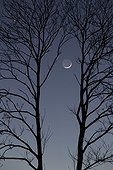 Venus Mars Moon conjunction behind a twin shaft - France ; Tonight, the Moon has joined the duo formed by Venus (the brightest star) and Mars. In the twilight sky, the lunar star dons his ashen light.