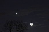 Moon Venus March conjunction - Brittany France  ; Tonight, the Moon has joined the duo formed by Venus (the brightest star) and Mars. In the twilight sky, the lunar star dons his ashen light. A luminous column is visible above and below Venus.