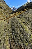 Glacial striations on gneiss - Alpes France  ; Hercynian Massif - crystalline rocks - background : the Mont Blanc massif