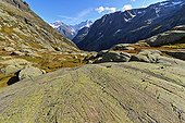 Glacial striations on gneiss - Alpes France  ; Hercynian Massif - crystalline rocks - background : the Mont Blanc massif