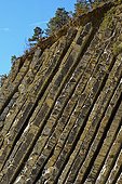 La Serre de l'Ane en aval de La Charce - Diois  France ; Site géologique classé "référence mondiale Unesco". Alternance de calcaires argileux et de lits de marnes, stratotype de référence mondiale de la transition Valanginien Hauterivien (ère secondaire)