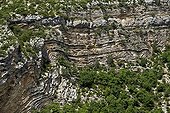 Folds in the limestone gorges of Meouge - France 