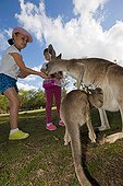 Girls and Eastern Grey Kangaroos - Queensland Australia