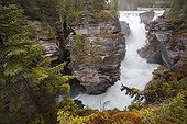 Athabasca Falls - Jasper Alberta Canada