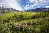 Jasper lake and mountains - Jasper Alberta Canada