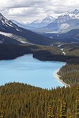 Peyto Lake - Banff Alberta Canada 