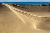 Sand Dunes and ocean - Namib Desert Namibia 