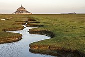 Meandering creek in the bay of Mont Saint-Michel - France ; Criche along a dike