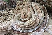 Strates géologiques sur  ivage rocheux - Asturies Espagne