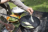 Preparation of Lungwort 's leaves fritters - Auvergne France ; Guy Lalière, naturopath botanist<br>Spread goat cheese on a sheet and cover with a second. Then soak in a flour dough before baking.