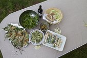 Meal of edible wild plants - Auvergne France