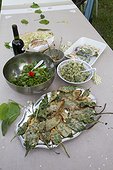 Meal of edible wild plants - Auvergne France