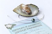 Jewelry with black pearl of Tahiti and certificate of authenticity ; Fake pearls can be polished when quality of their surface is not satisfactory then tinted, irradiated or undergo a treatment to modify colors and luster.Even on Tahiti, trade in counterfeits has appeared and some local dealers are abusing the naivety of tourists by selling counterfeit,