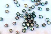 French Polynesia provenance cultured pearls  ; sold in retail. The beads called "Tahitian black pearls" is an AOC, whose pearly tones vary from green to darker or lighter colors, through the shades pulling purple.