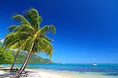 Beach Ta'ahiamanu - Moorea French Polynesia 