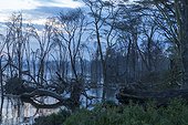 Landscape of Lake Nakuru in flood - Rift Valley Kenya 