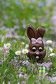 Bunny and chocolate eggs at Easter in a garden - France