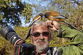 Rufous treepies about the photographer - Ranthambore India
