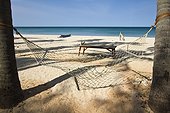 Hammock on a tropical beach - Sri Lanka