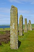 Megaliths of Ring of Brodgar - Orkney Mainland Scotland ; Heart of Neolithic Orkney