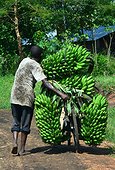 Bike charged for Bananas on a track - Uganda ; The region, very fertile thanks to the ancient volcanoes, is known for its plantations of fruit and tea