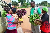 Sale of fruits and vegetables at a roadside - Uganda