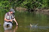 Fly fishing an European Grayling - River Dessoubre France