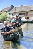Presentation of European Graylings - River Loue France