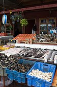 Fish Market Anjelmo - Puerto Montt Chile