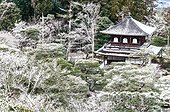 Garden Ginkaku-ji Buddhist temple in winter - Japan  ; Temple of the Silver Pavilion
