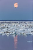 Gibbous Moon and Melting Sea Ice - Hudson Bay Canada