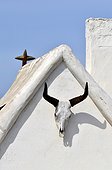 Bull skull on gardian Shack - Camargue France ; the cross udes to fix the house on windy days..