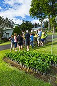 Coffee Plantation visiting - Alajuela Costa Rica